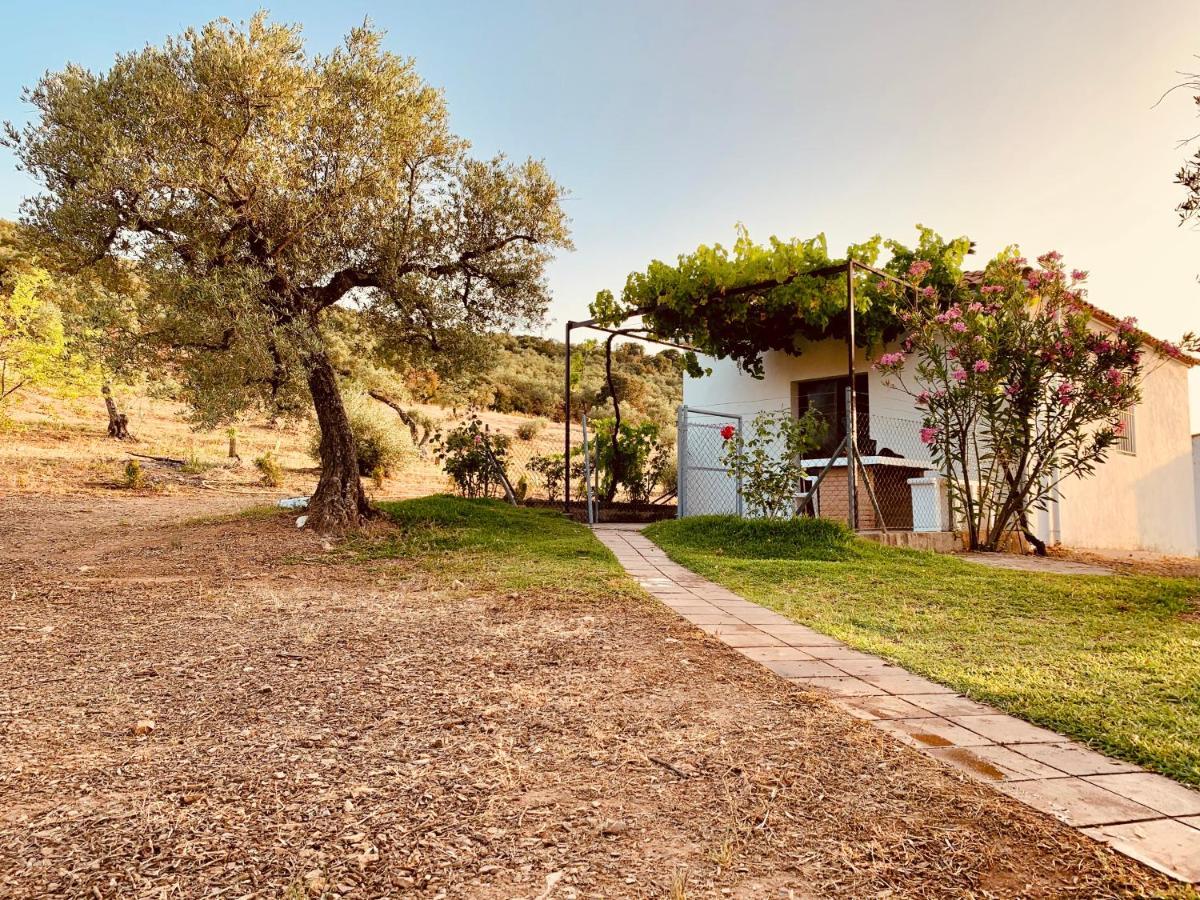 Casa Rural Arroyo Marco Guadalcanal Buitenkant foto